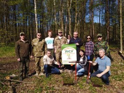На Житомирщині долучилися до Всеукраїнської акції «Майбутнє лісу – в твоїх руках»
