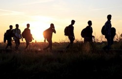 З Івано-Франківщини примусово видворено іноземця, який нелегально прибув в Україну