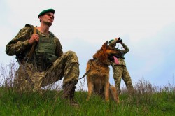 Мігрантів з Пакистану, Домініканської Республіки, Бангладеш, Таджикистану й Афганістану затримано на кордоні