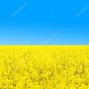 За 6 місяців 2021 року Управління Державної міграційної служби України в Луганській області поповнило місцеві бюджети області на 8 мільйонів 932  тисяч 724 гривень