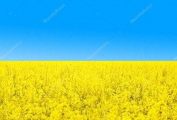 За 6 місяців 2021 року Управління Державної міграційної служби України в Луганській області поповнило місцеві бюджети області на 8 мільйонів 932  тисяч 724 гривень