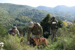Як собаки породи малінуа допомагають прикордонникам нести службу в горах