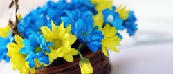 Державні службовці 23 червня відзначають професійне свято