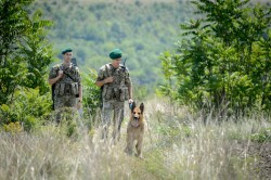 Прикордонники затримали трьох азіатів та африканця