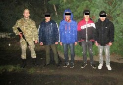 Чотирьох нелегалів із В’єтнаму затримали прикордонники на Закарпатті