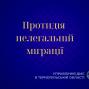 Протидія нелегальній міграції: іноземець, який хуліганив у центрі Тернополя, виїхав з України