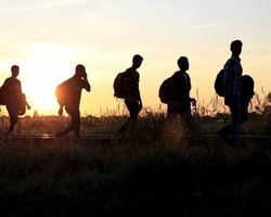 П’ятьох нелегалів із В’єтнаму прикордонники затримали біля кордону з Росією