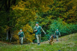 ДПСУ: В рамках операції «Кордон – 2017» прикордонники затримали 235 нелегальних мігрантів