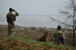 На підступах до держрубежу та у Львівському аеропорту і в Одесі затримано 15 нелегальних мігрантів