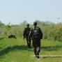 В Волинській області прикордонники та співробітники СБУ затримали 6 громадян Афганістану
