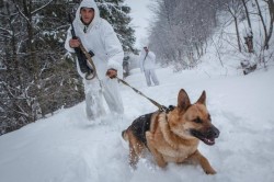 Двоє молдаван, незаконно потрапивши в Україну через річку, спробували втекти від прикордонників