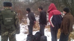 Борьба с нелегальными мигрантами в Украине: штрафовать будут работодателей и родственников