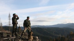 На українсько-угорському  кордоні прикордонники  зупинили десятьох  нелегальних мігрантів