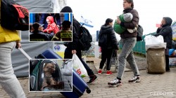 6,5 млн українців стали внутрішніми переселенцями, 3,2 млн виїхали за кордон - ООН