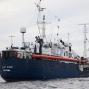 Германия и еще три страны ЕС примут мигрантов с немецкого судна Alan Kurdi