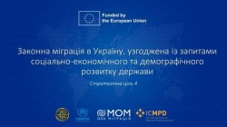 Панельне обговорення Стратегічної цілі щодо законної міграції в Україну